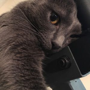 Meet your Posher, Sanni